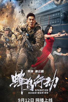 蜂鸟行动
